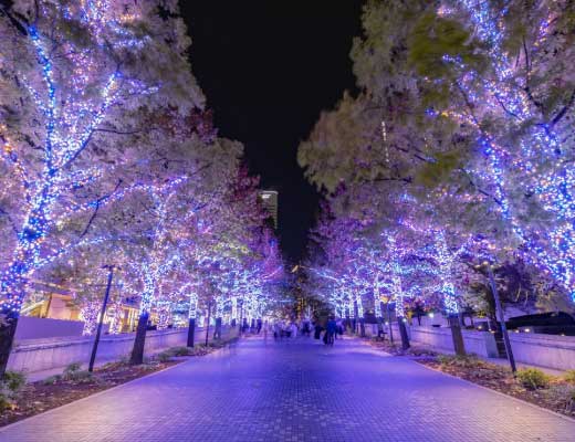 年末年始休業のお知らせ（2022年-2023年）